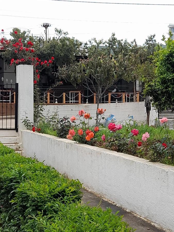 Vila F&M كساميل المظهر الخارجي الصورة