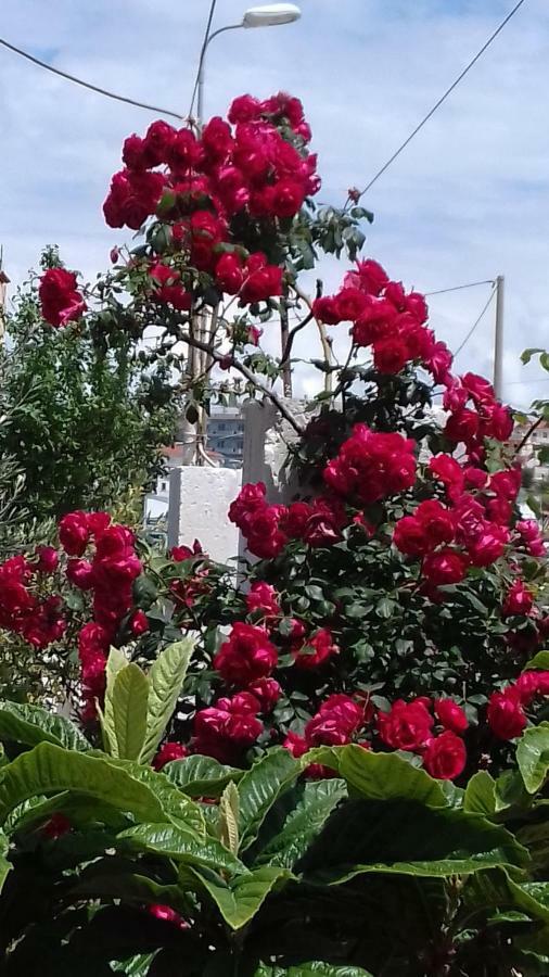 Vila F&M كساميل المظهر الخارجي الصورة